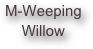 M-Weeping Willow
